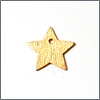 Vedhæng, børstet stjerne, 11mm, FG/925S, 2 stk.